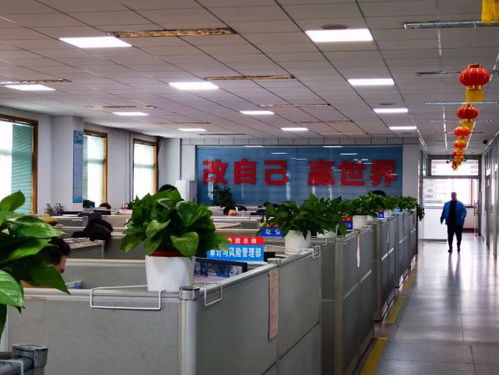 南陽中光廠學校納入南陽市第十七小學教育集團，區域教育資源整合再升級